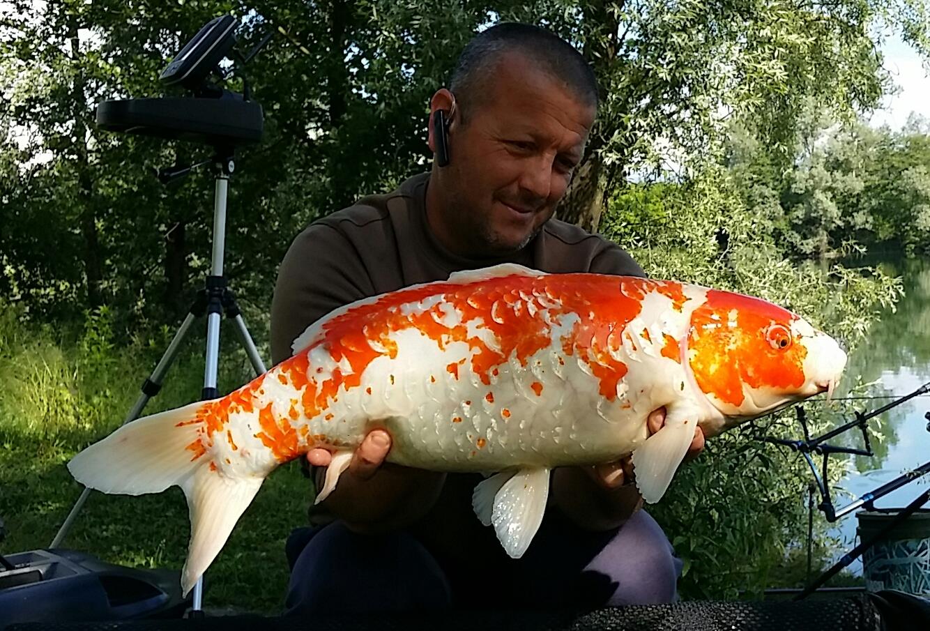 Lago Boschetto 8 - 12 mai 2017 - 20170512095245-1.jpg